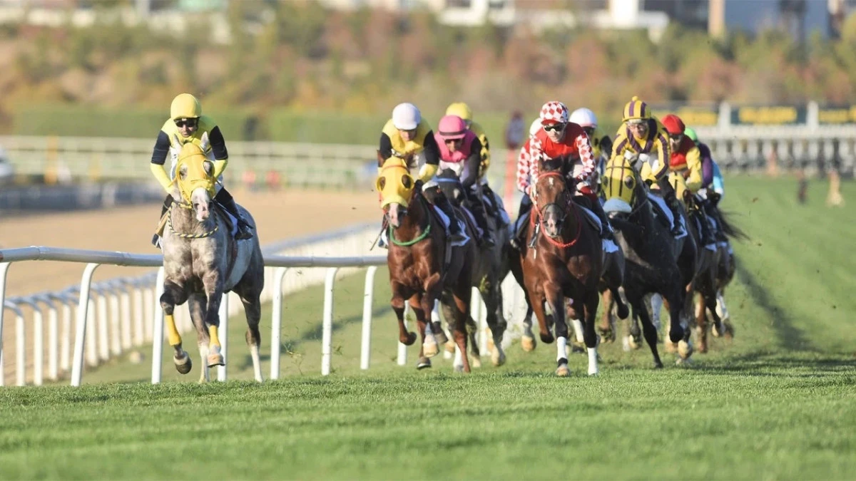 45. Cumhuriyet Koşusu'nu G&ouml;kırmak kazandı