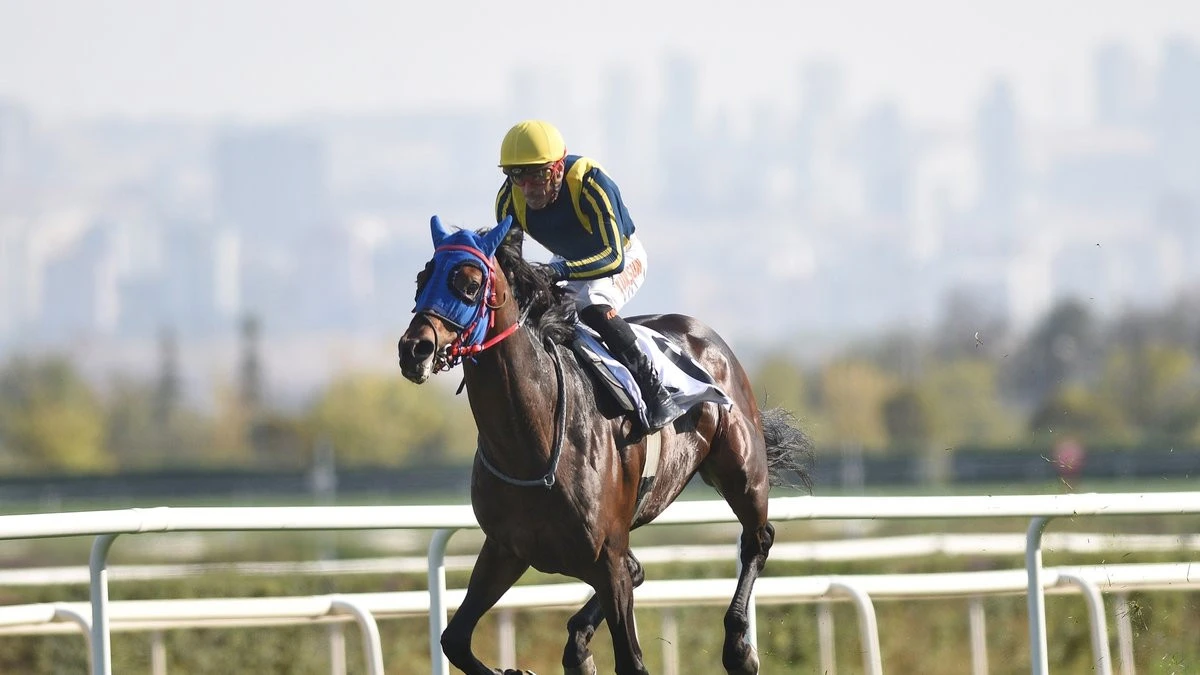 87. Cumhurbaşkanlığı Koşusu Şampiyonu, Grande Flusso oldu