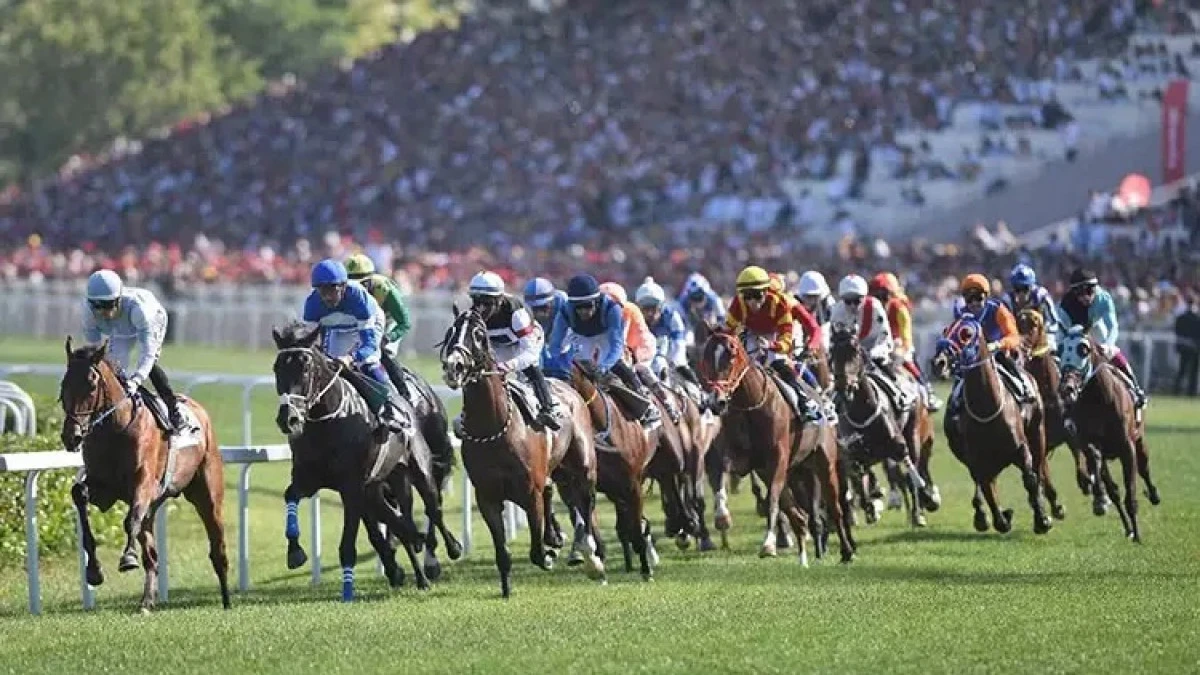 99. Gazi Koşusu'nu 'Cutha' kazandı